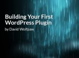 Building Your First WordPress Plugin